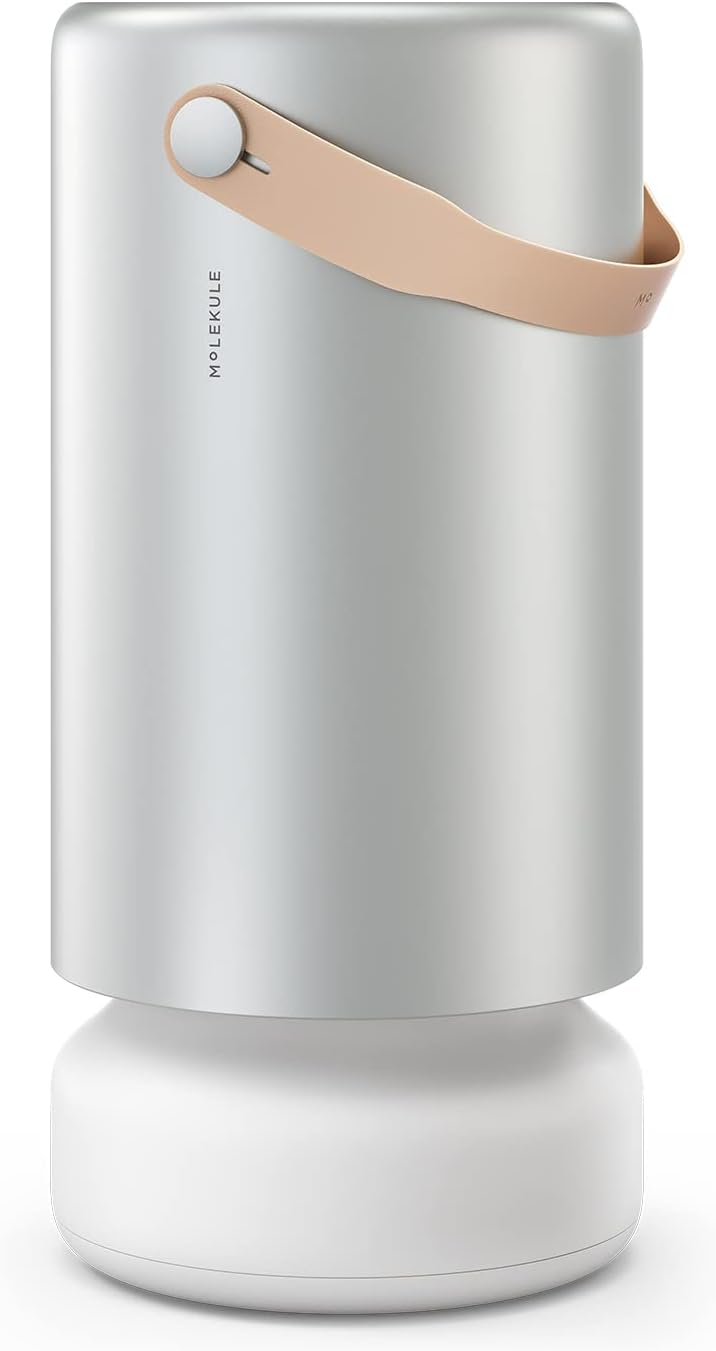 High-Performance Air Purifier for Large Rooms | Advanced Filtration for Smoke, VOCs & Allergens