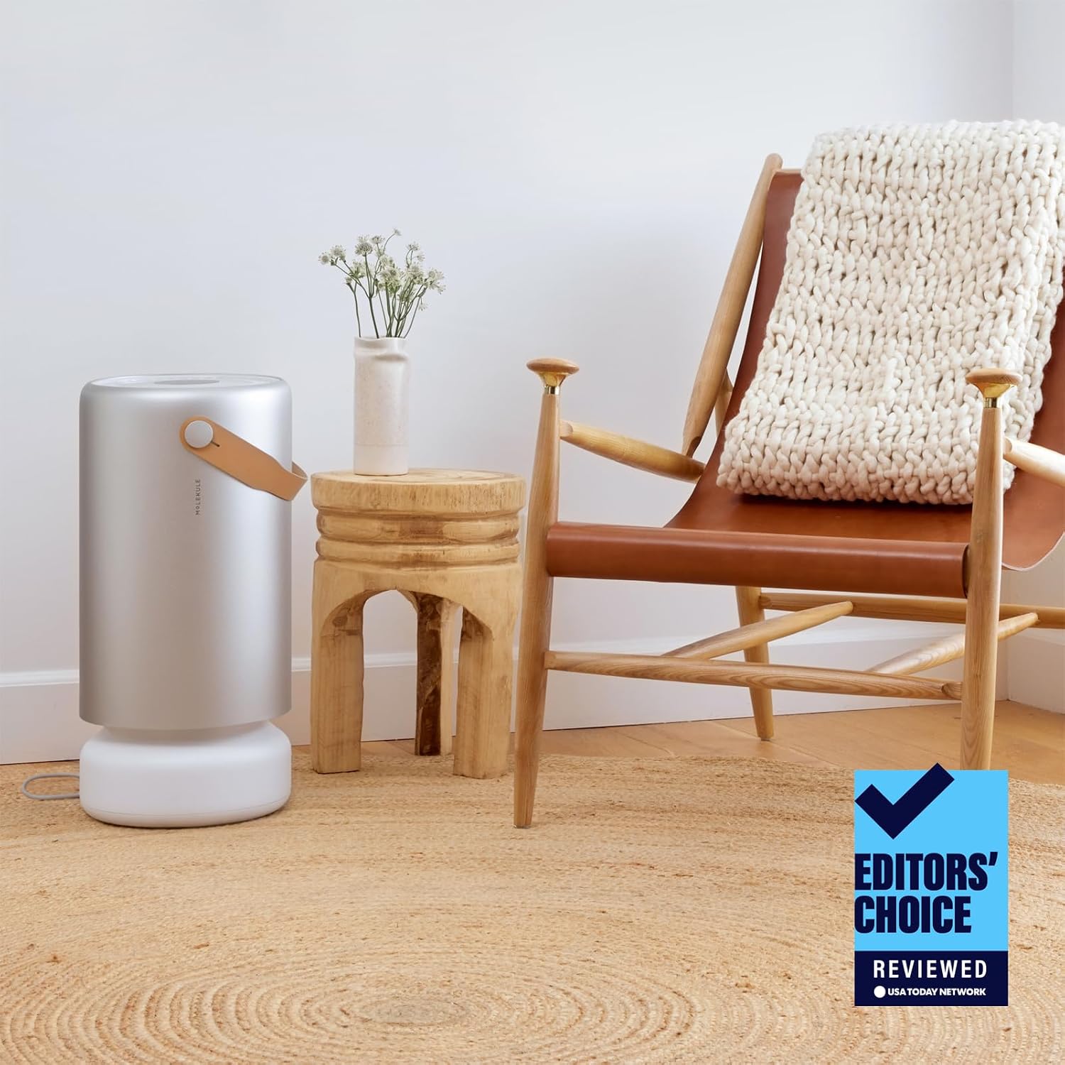High-Performance Air Purifier for Large Rooms | Advanced Filtration for Smoke, VOCs & Allergens