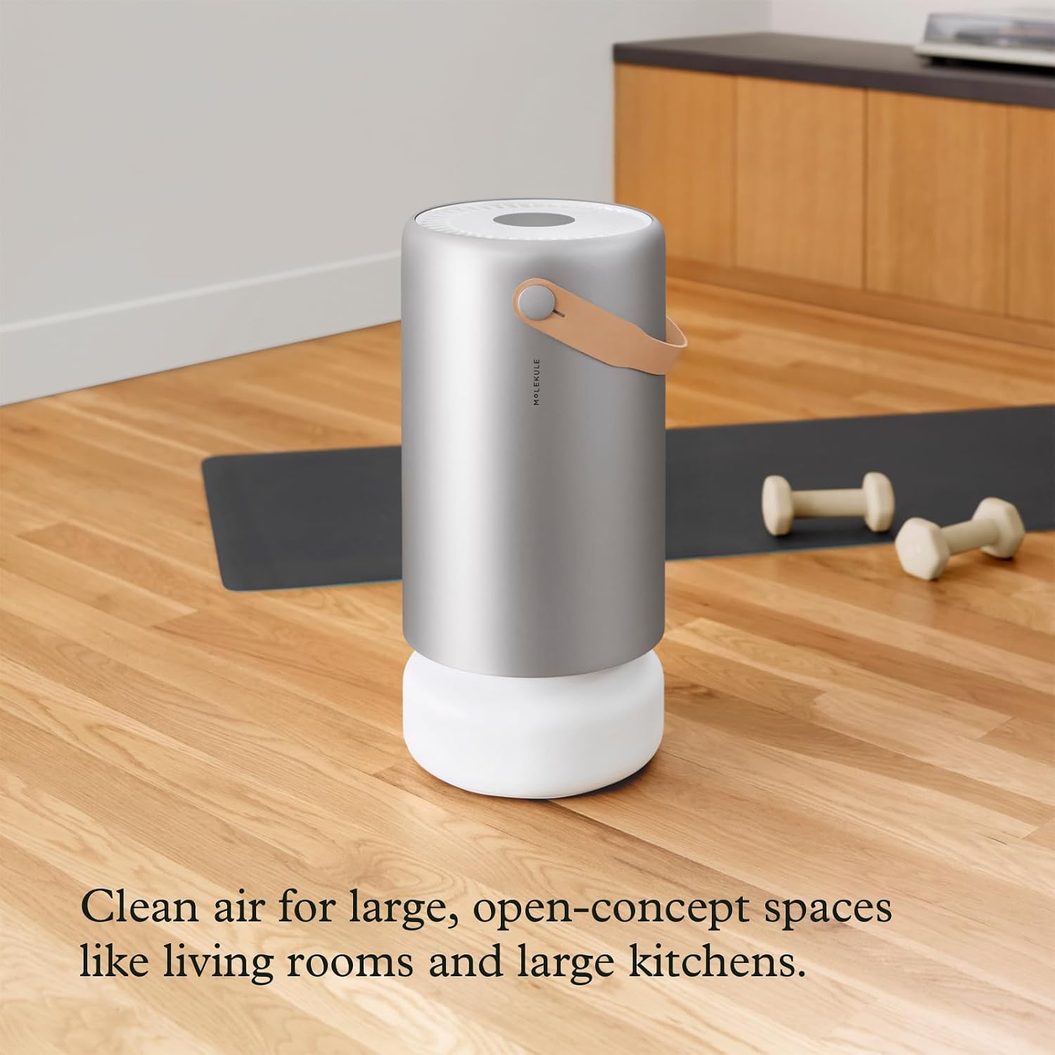 High-Performance Air Purifier for Large Rooms | Advanced Filtration for Smoke, VOCs & Allergens