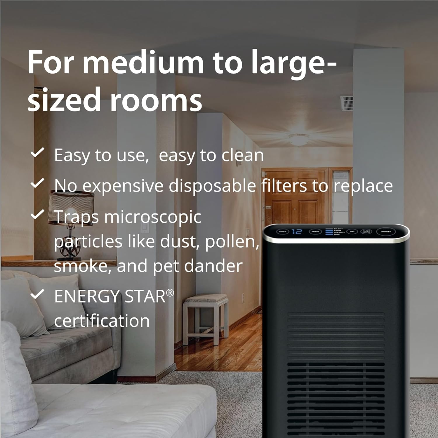 Ionic Air Purifier for Home & Office, Quiet Air Cleaner for Dust, Allergies, Smoke, Pet Odours & Everyday Indoor Air Quality Improvement